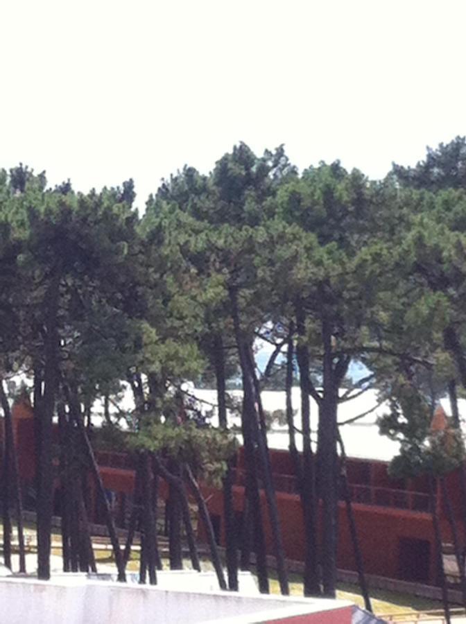 Beach House Cabedelo Viana do Castelo Esterno foto